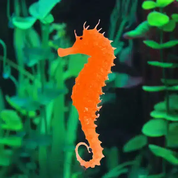 Штучний морський коник для акваріуму, силіконовий помаранчевий купити