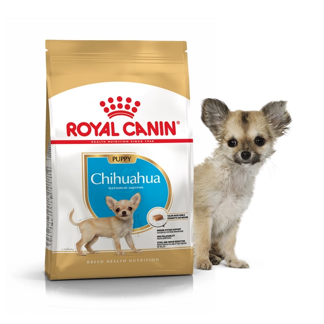 Роял Канін корм для чихуахуа цуценя 1,5 кг (Royal Canin Chihuahua Puppy) купити