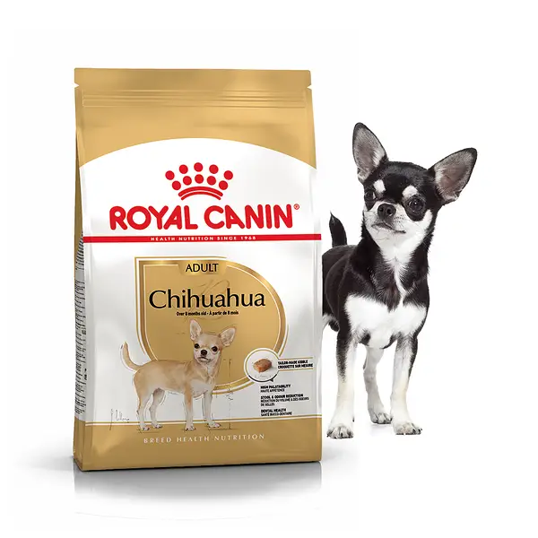 Роял Канін корм для чихуахуа 1,5 кг (Royal Canin Chihuahua Adult) купити
