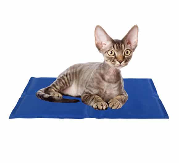 Охолоджуючий килимок для маленького кота 40х30см, Trixie купити Дніпро