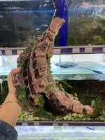 аквадекор колизей для рыбок, черепах, аквариум недорого днепр