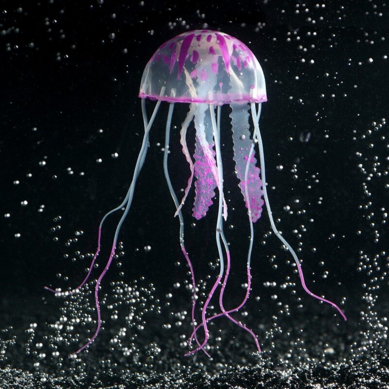 Медуза для акваріума маленька 5 см, рожева купити Дніпро
