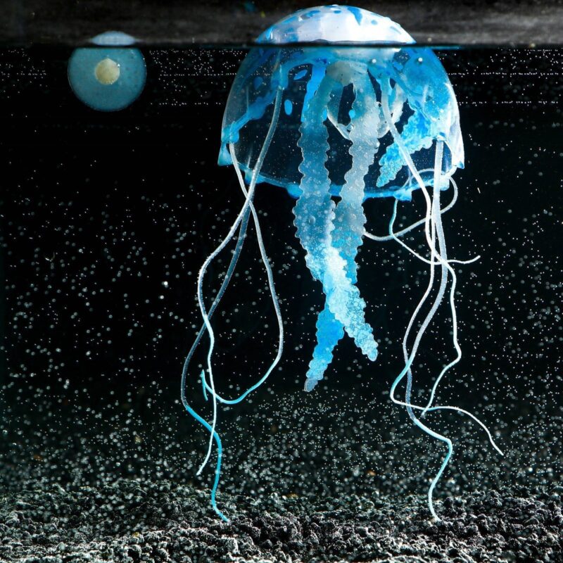 Медуза в акваріум велика 10 см, синя купити Дніпро