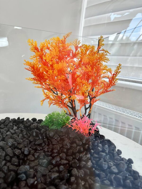 Штучна рослина у акваріум 25 см, помаранчеве дерево купити Дніпро