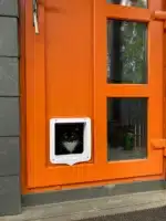 Двері для великого кота з тунелем Trixie 4-Way Flap Door XXL купити Дніпро