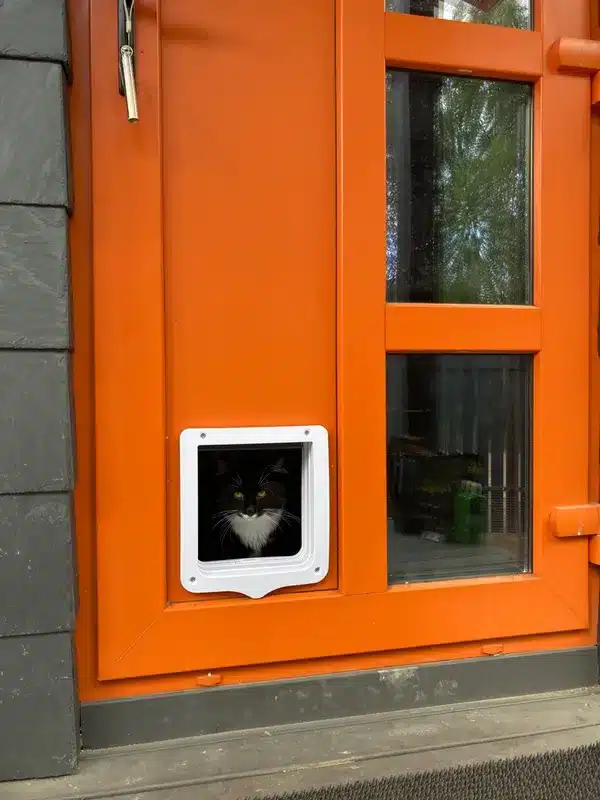 Двері для великого кота з тунелем Trixie 4-Way Flap Door XXL купити Дніпро